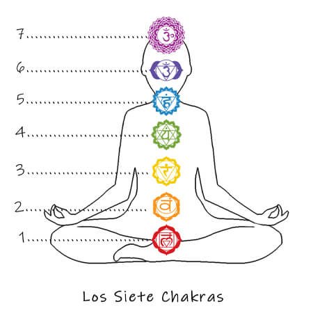 Descubre Los 7 Chakras Del Cuerpo Y Su Significado – BERYSV